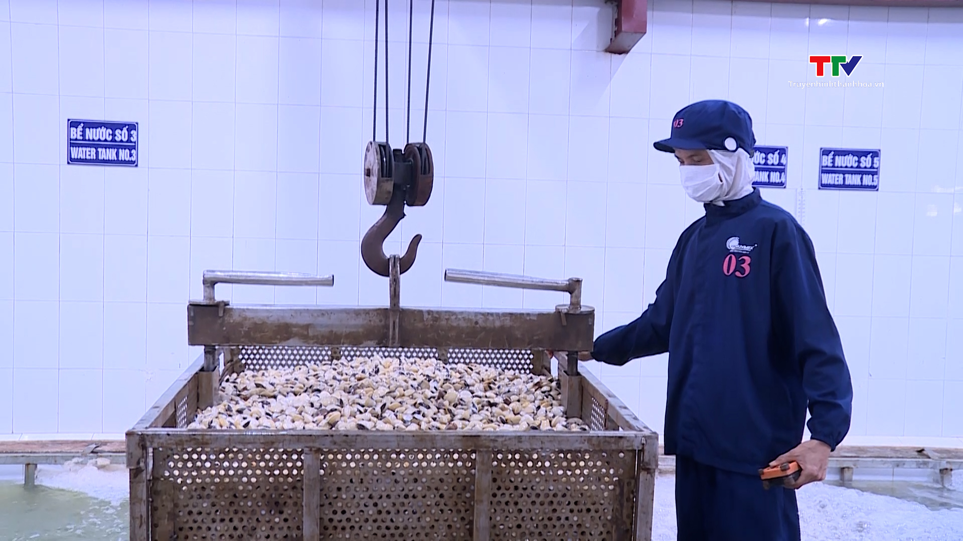 Ứng dụng khoa học công nghệ trong chế biến ngao xuất khẩu - Ảnh 2. Ứng dụng khoa học công nghệ trong chế biến ngao xuất khẩu - Ảnh 2.