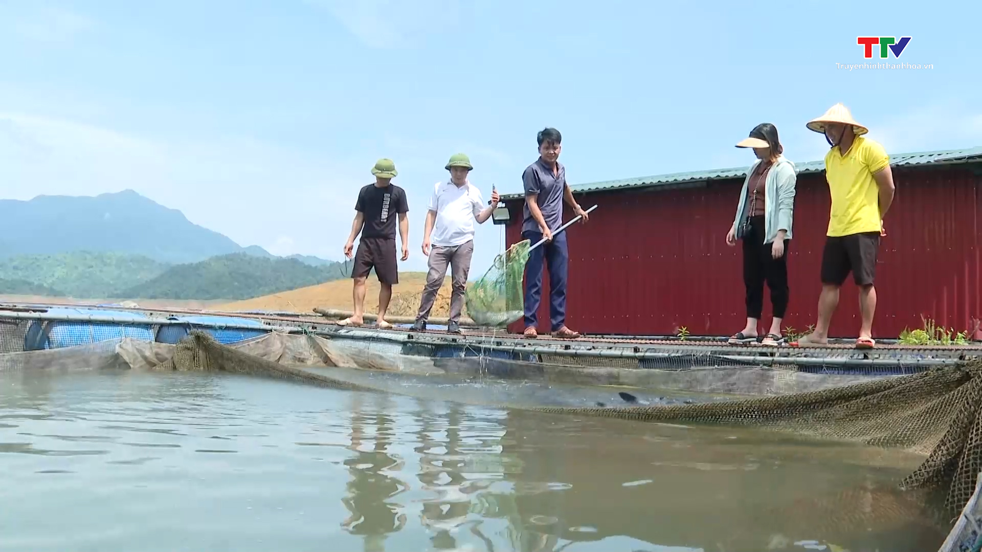 Phát triển bền vững nghề nuôi cá lồng - Ảnh 3. Phát triển bền vững nghề nuôi cá lồng - Ảnh 3.