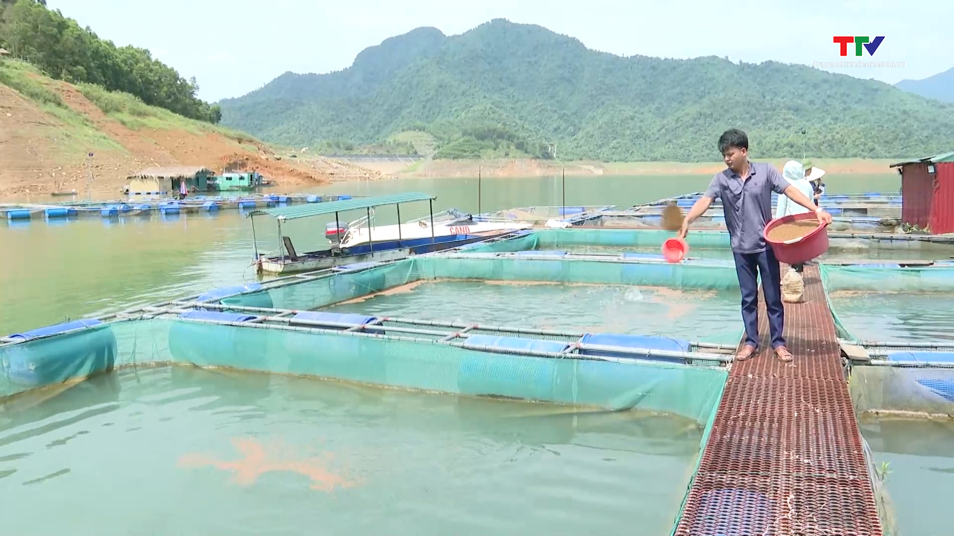 Phát triển bền vững nghề nuôi cá lồng - Ảnh 2. Phát triển bền vững nghề nuôi cá lồng - Ảnh 2.