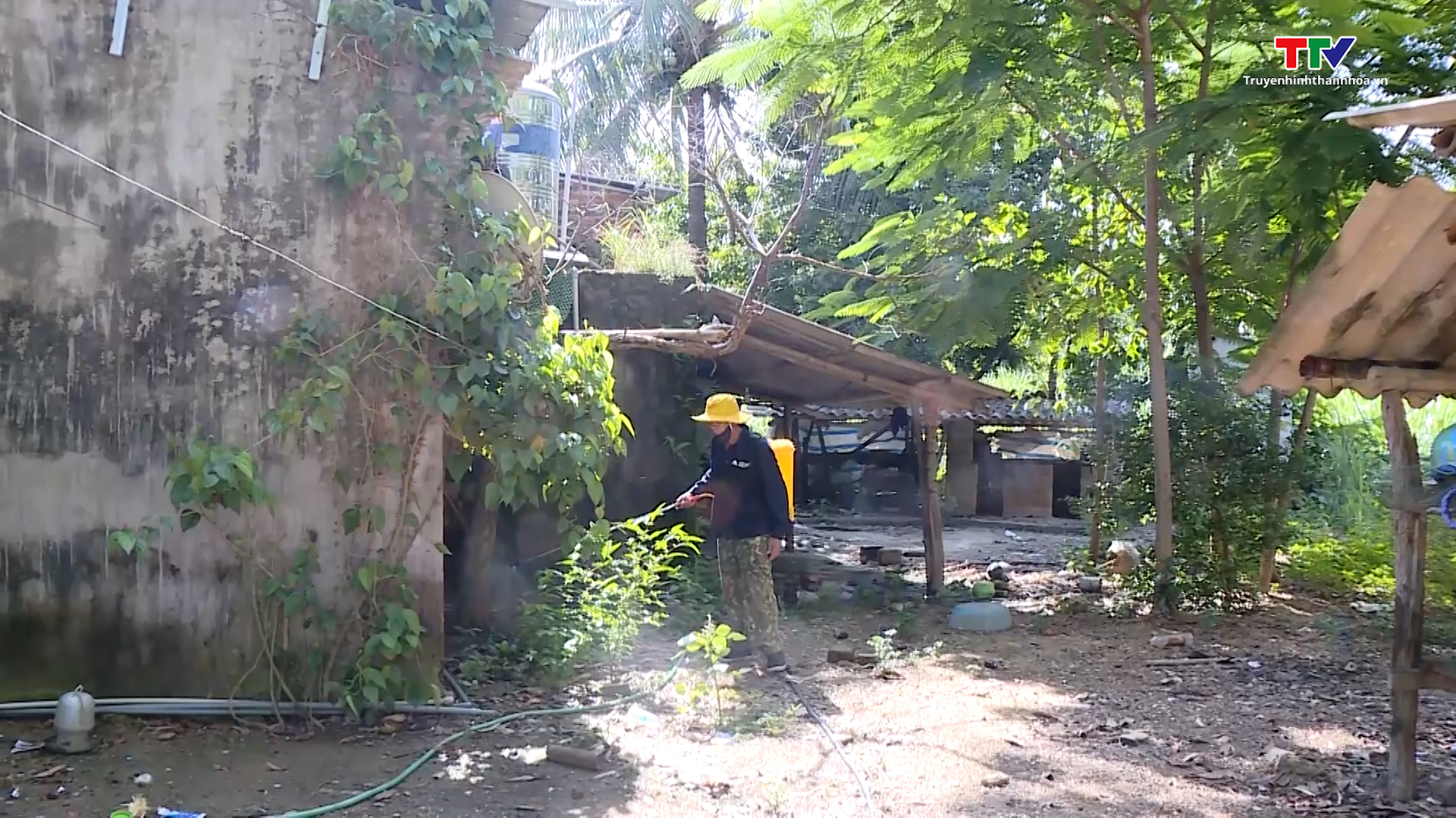 Tình trạng ruồi nhặng dày đặc tại xã Thành Công đã giảm khoảng 95% - Ảnh 2. Tình trạng ruồi nhặng dày đặc tại xã Thành Công đã giảm khoảng 95% - Ảnh 2.
