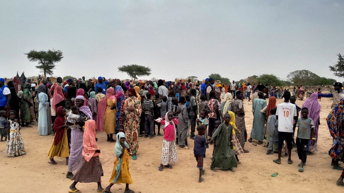 Liên hợp quốc kêu gọi chấm dứt xung đột ở Sudan - Ảnh 1.