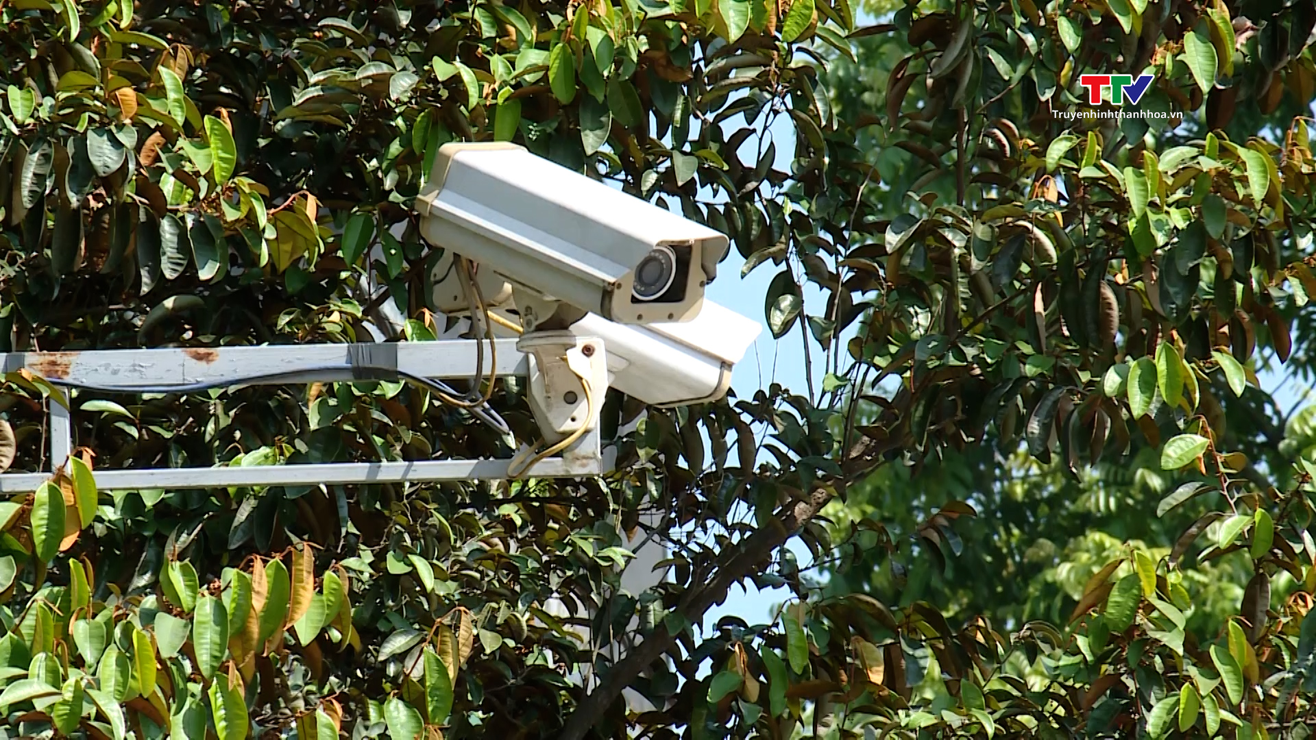 Hiệu quả mô hình camera giám sát an ninh - Ảnh 5.