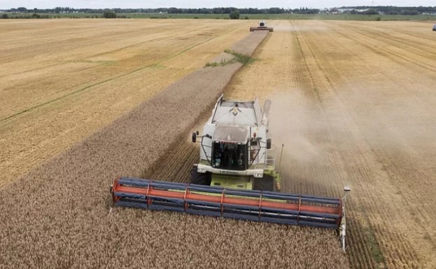 Ba Lan gia hạn lệnh cấm đối với ngũ cốc Ukraine để bảo vệ thị trường nội địa - Ảnh 1.