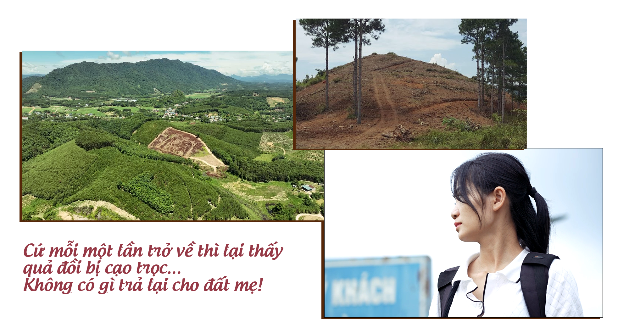 [Story] Hoa đất - Ảnh 2.