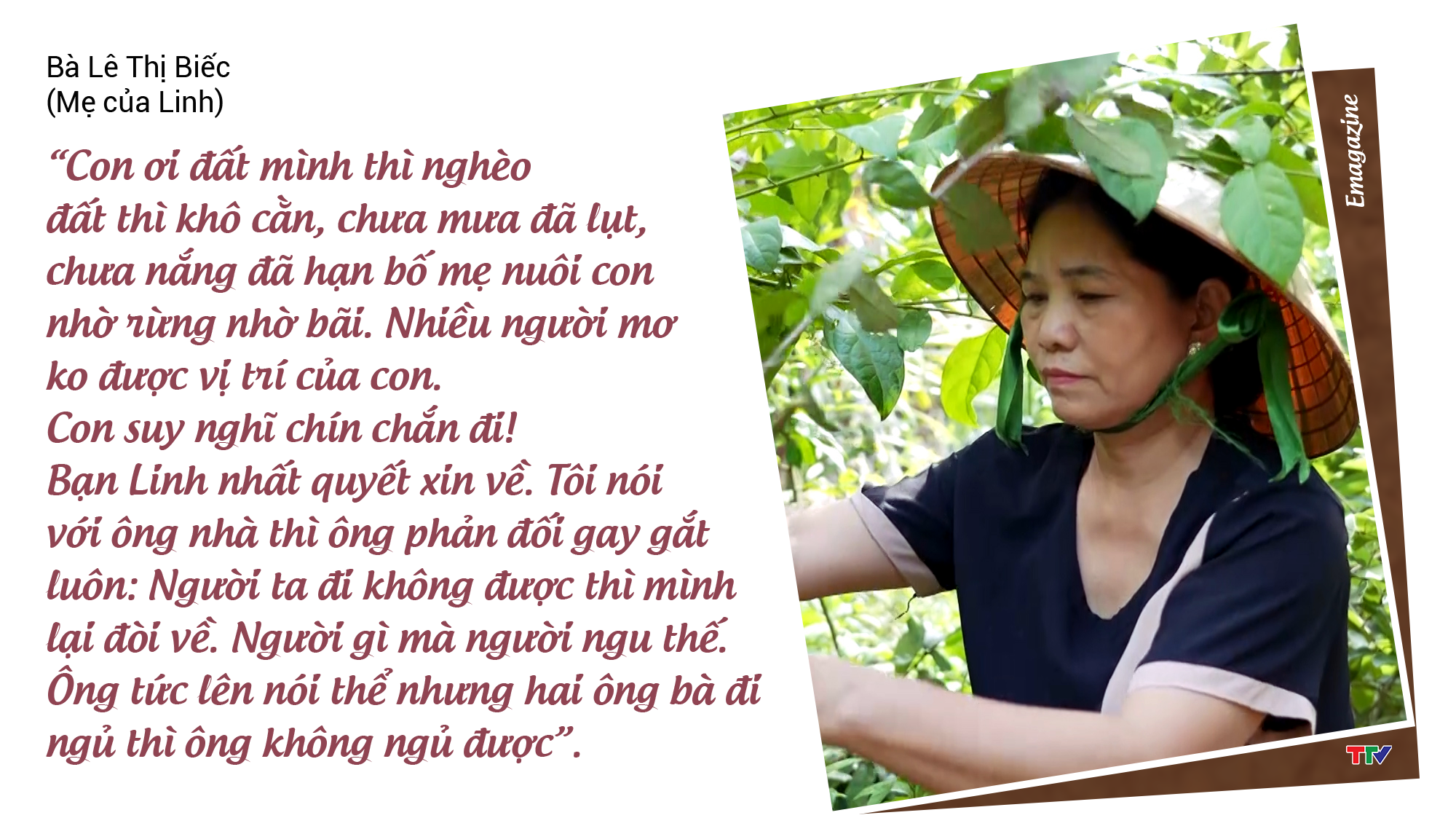 [Story] Hoa đất - Ảnh 4.