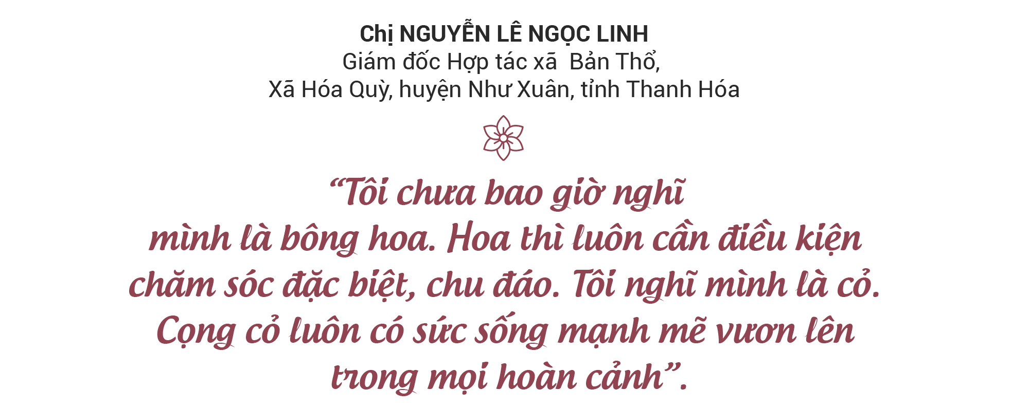 [Story] Hoa đất - Ảnh 21.