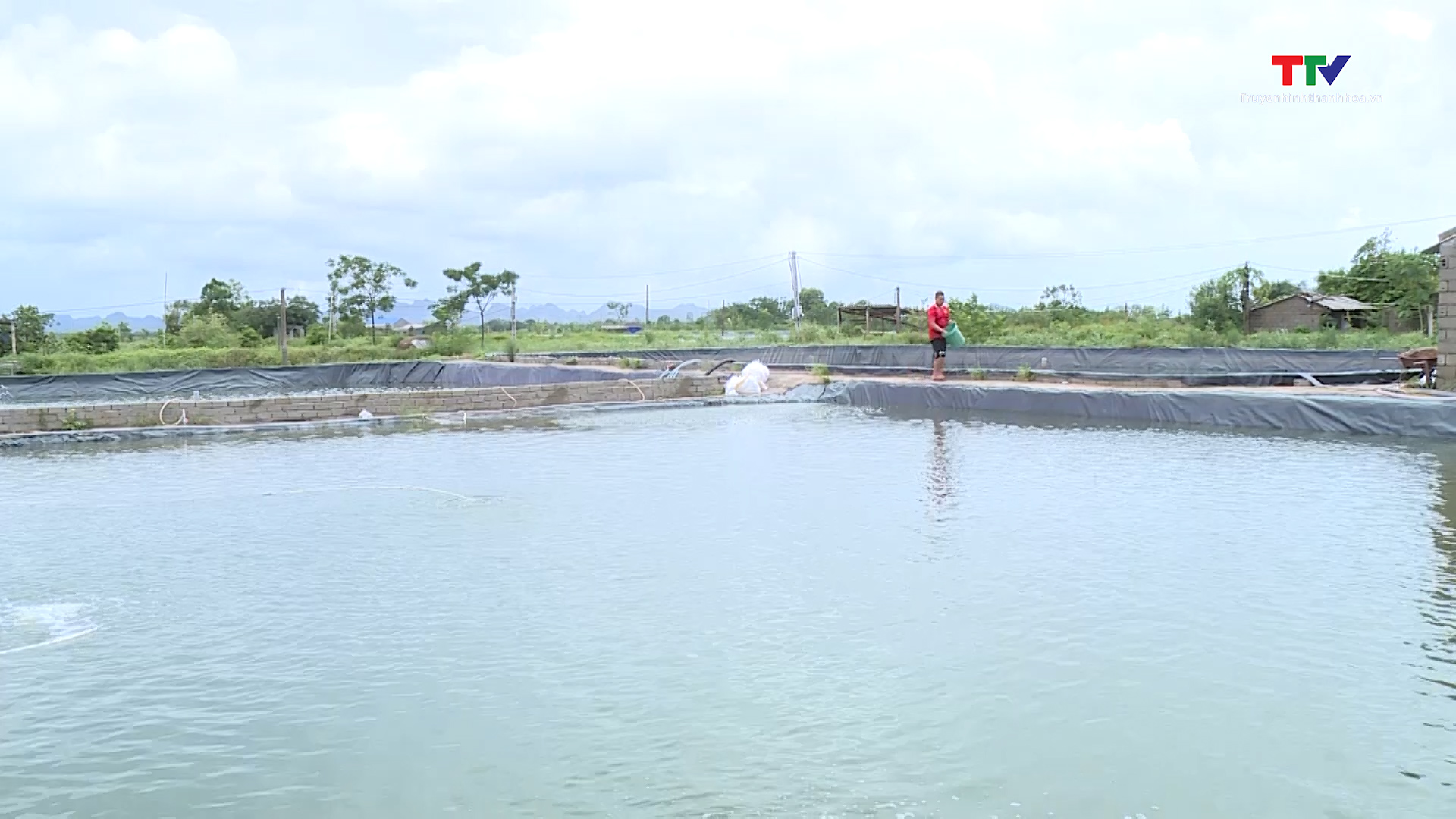 Bảo đảm an toàn nuôi trồng thủy sản trong mùa mưa bão - Ảnh 2.