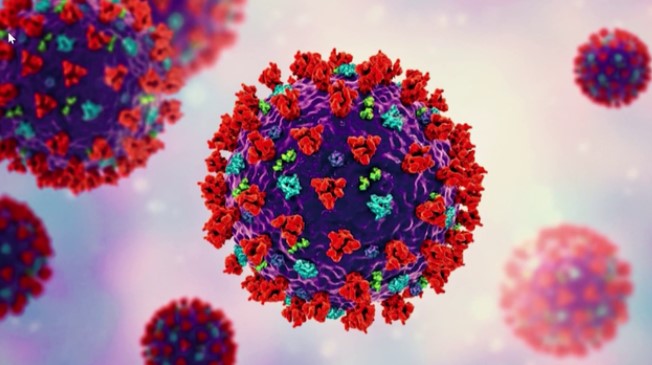 WHO theo dõi biến thể virus SARS-CoV-2 mới  BA.2.86 - Ảnh 1.