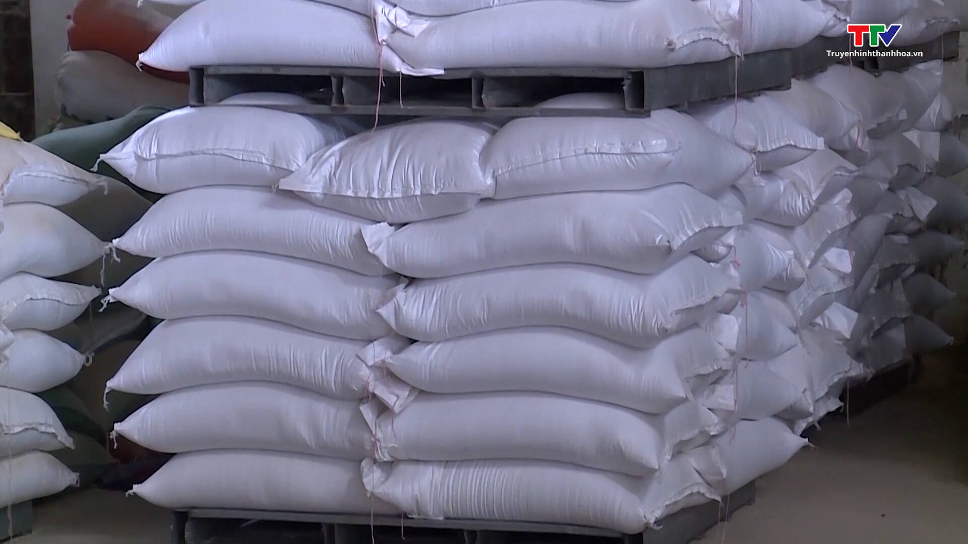 Thanh Hóa ngăn chặn tình trạng thao túng thị trường cung ứng gạo - Ảnh 2.