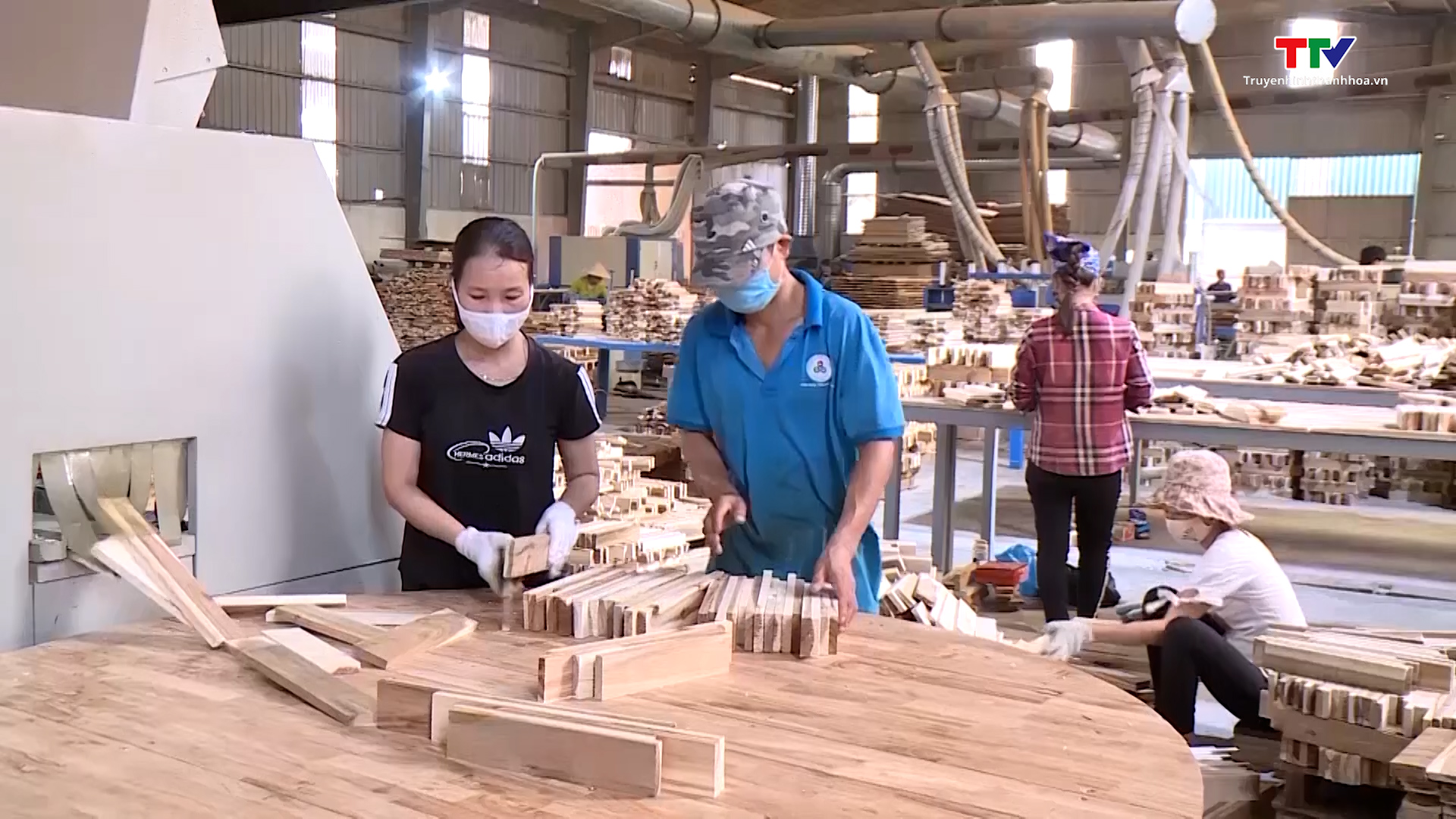 Tỉnh Thanh Hóa có 178 doanh nghiệp chế biến gỗ - Ảnh 2.