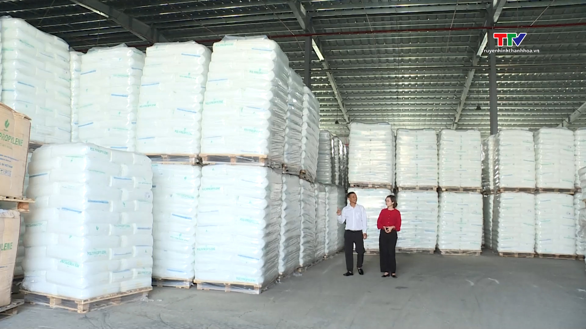 Phát triển hệ thống kho bãi phục vụ lưu trữ hàng hóa qua cảng Nghi Sơn - Ảnh 2.