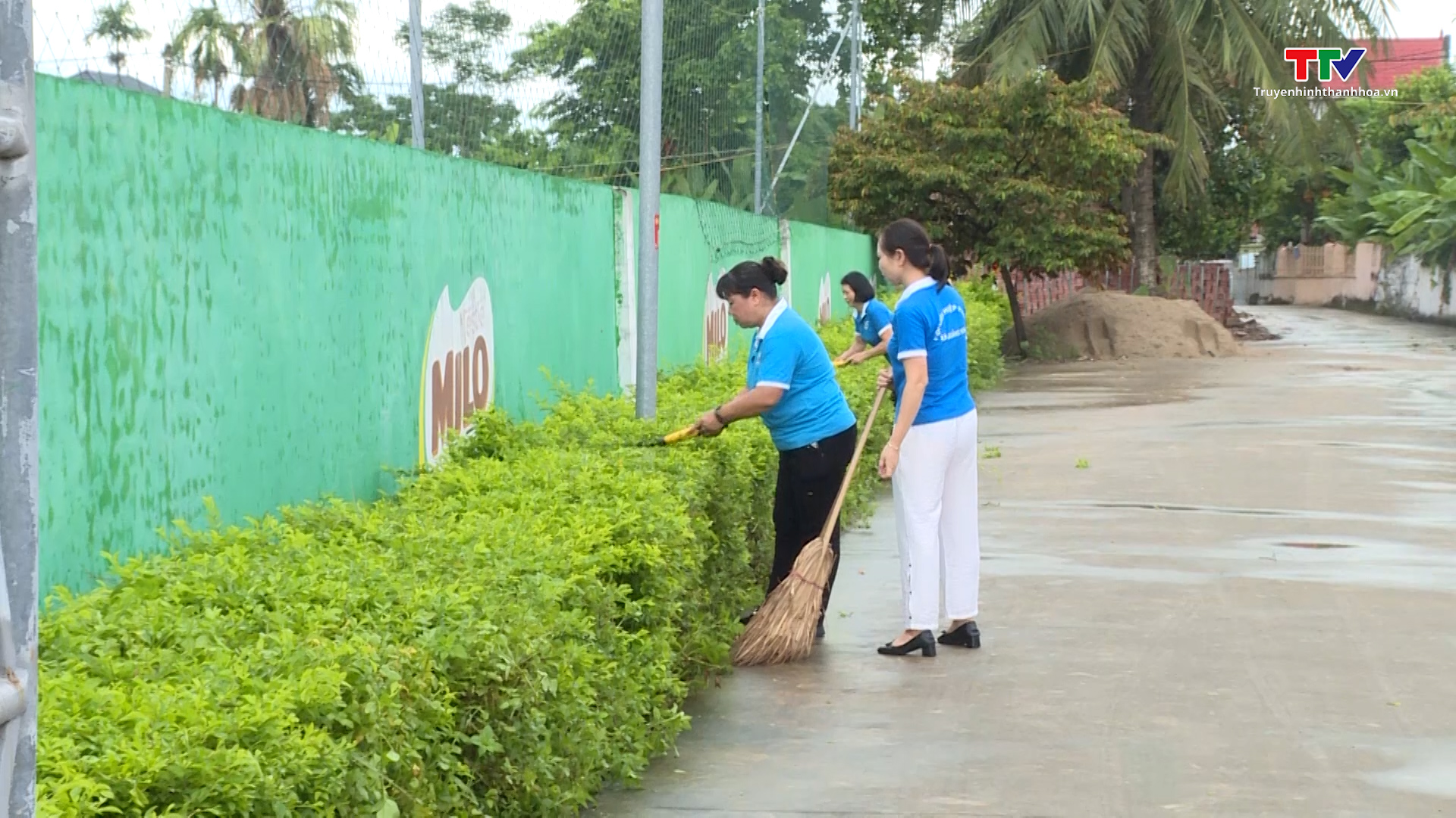 Xã Quảng Ninh hoàn thành 19/19 tiêu chí nông thôn mới nâng cao - Ảnh 3. Xã Quảng Ninh hoàn thành 19/19 tiêu chí nông thôn mới nâng cao - Ảnh 3.