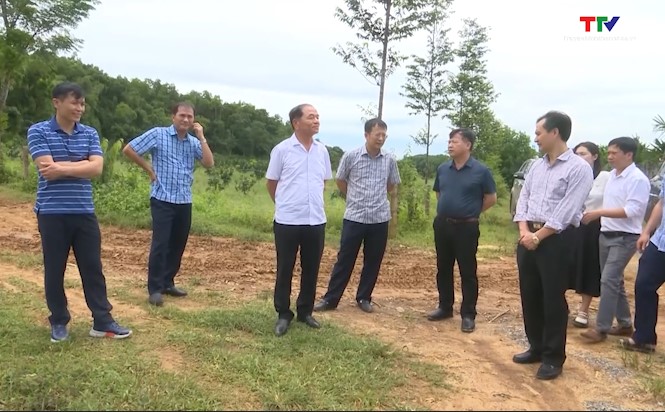 Đoàn công tác do Đại biểu Quốc hội Lê Thanh Vân dẫn đầu thăm và làm việc tại huyện Bá Thước - Ảnh 3.