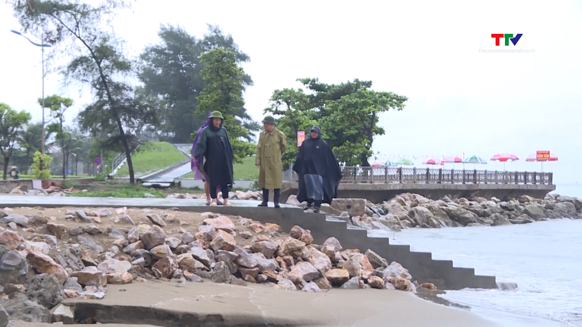 Tình trạng biển xâm thực tại phường Quảng Cư, thành phố Sầm Sơn - Ảnh 4.