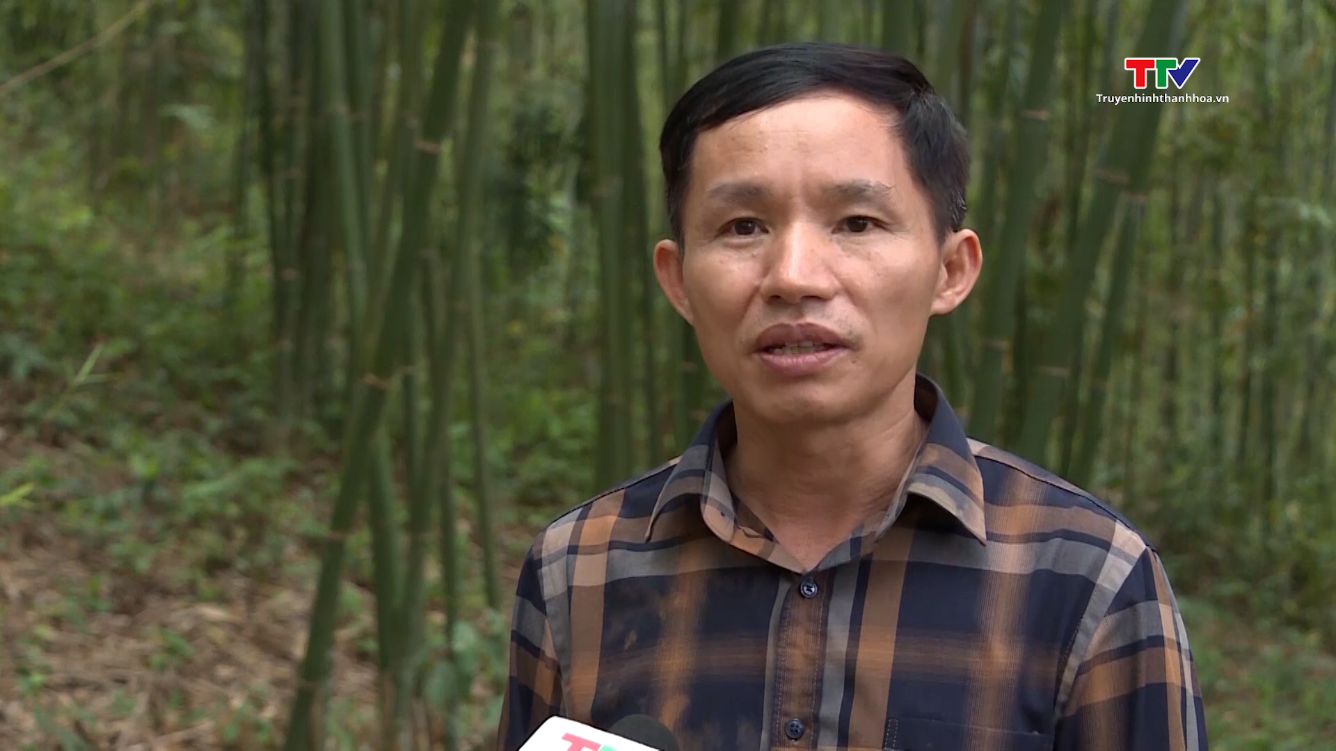 Tăng cường công tác tuyên truyền pháp luật về bảo vệ rừng ở miền núi Thanh Hóa - Ảnh 3.