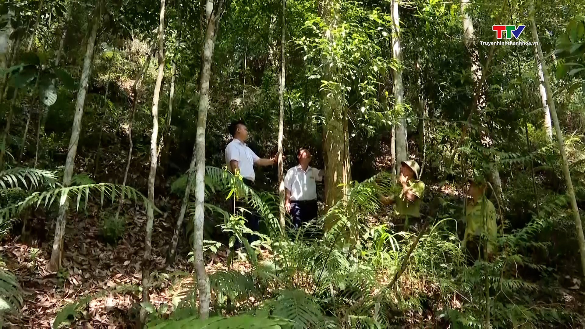 Tăng cường công tác tuyên truyền pháp luật về bảo vệ rừng ở miền núi Thanh Hóa - Ảnh 5.