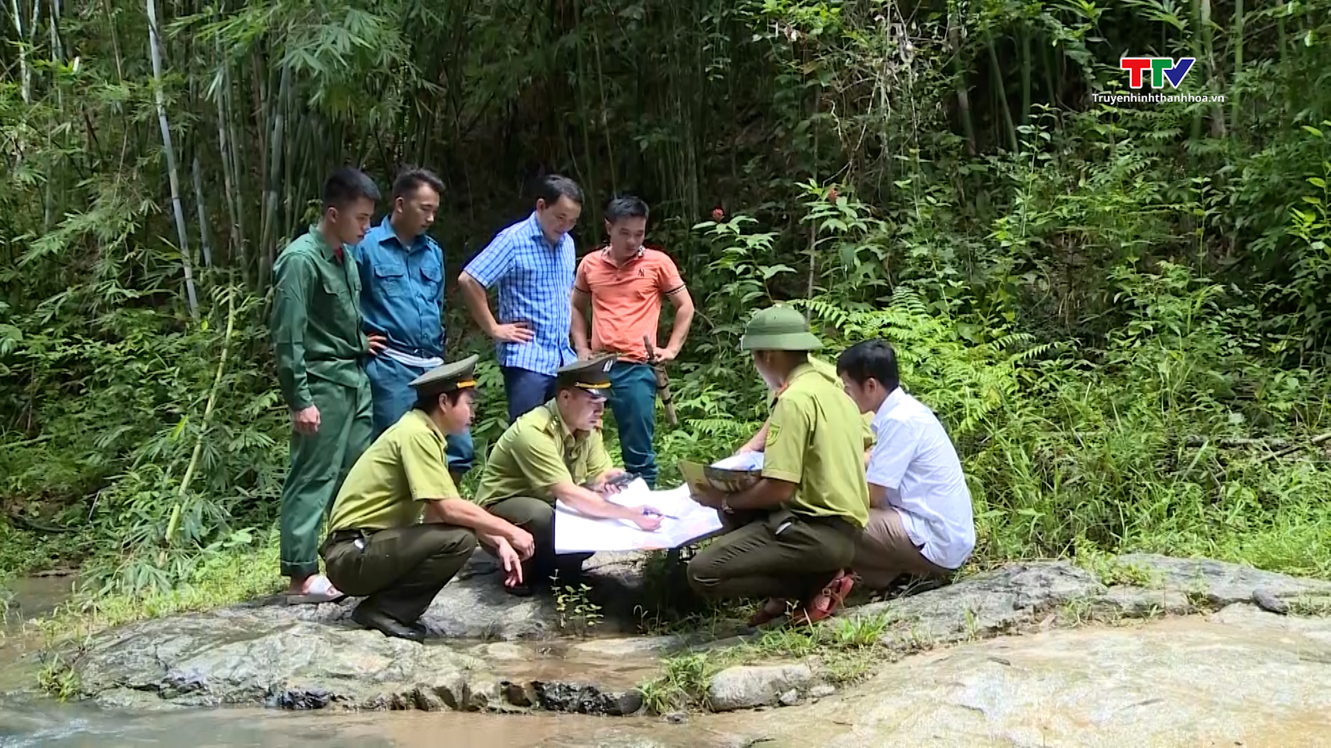 Tăng cường công tác tuyên truyền pháp luật về bảo vệ rừng ở miền núi Thanh Hóa - Ảnh 7.