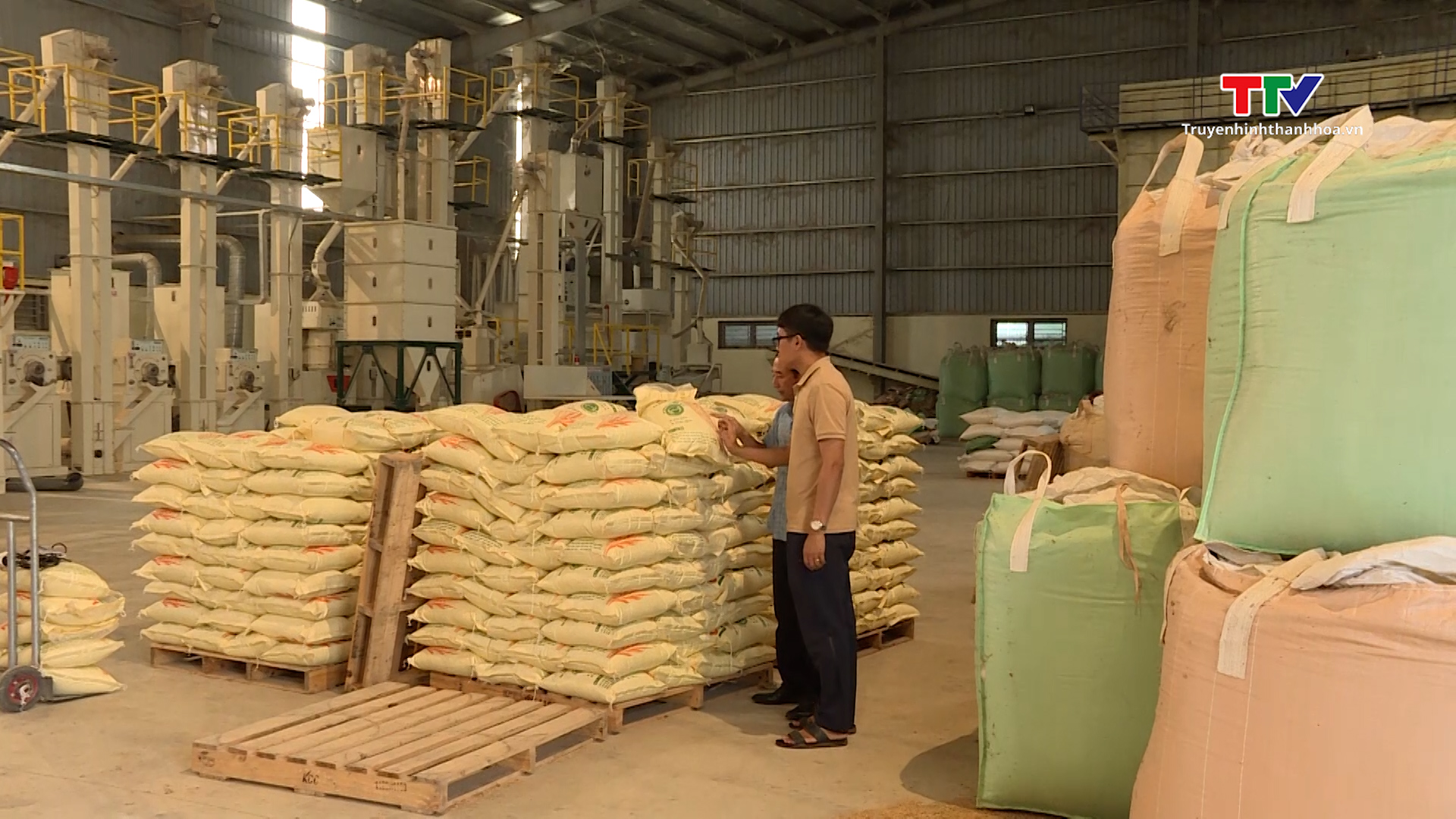 Các doanh nghiệp sản xuất và kinh doanh lúa gạo gặp khó khăn khi giá gạo tăng cao - Ảnh 2.