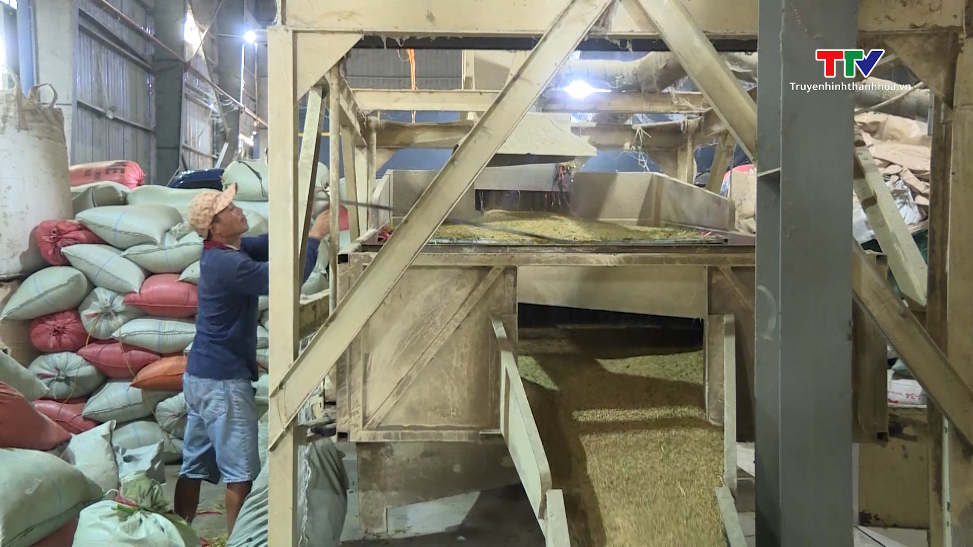 Các doanh nghiệp sản xuất và kinh doanh lúa gạo gặp khó khăn khi giá gạo tăng cao - Ảnh 4.