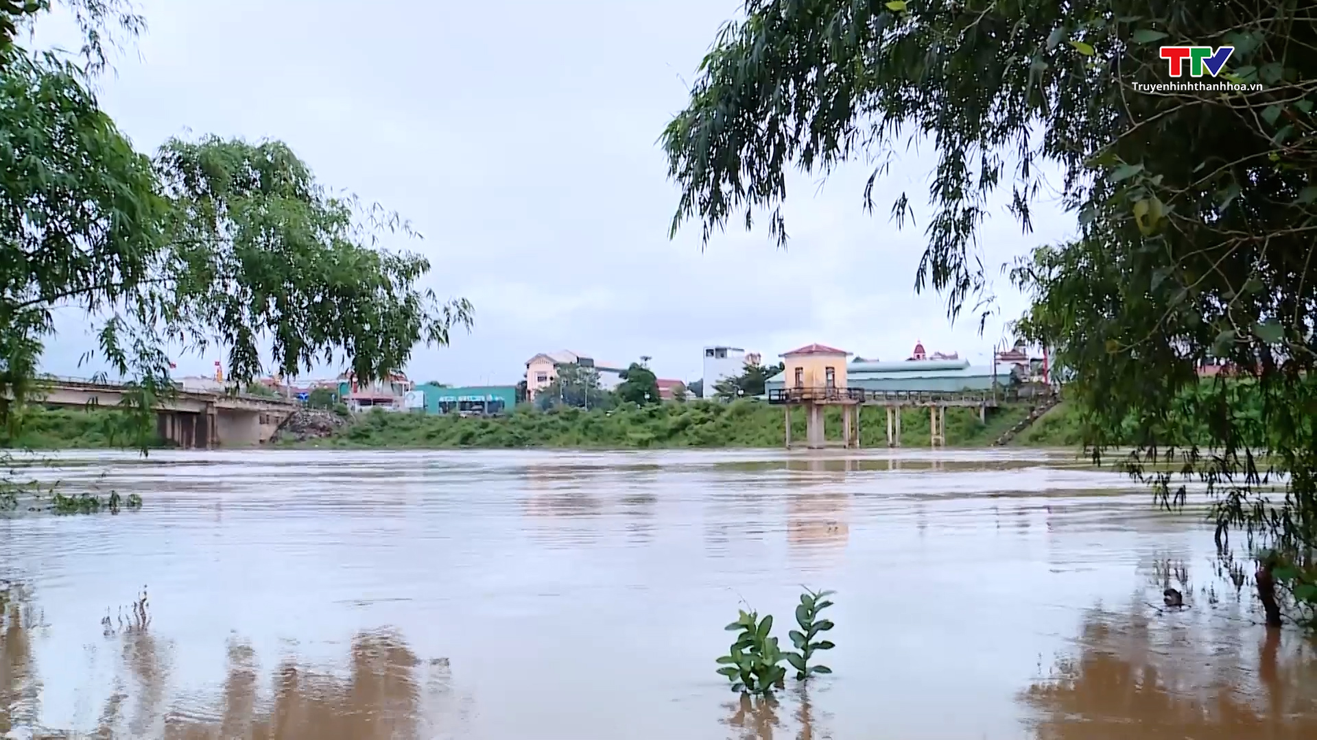 Phó Chủ tịch UBND tỉnh Lê Đức Giang kiểm tra và chỉ đạo khắc phục mưa lũ tại các huyện Thạch Thành và huyện Hoằng Hoá - Ảnh 3.
