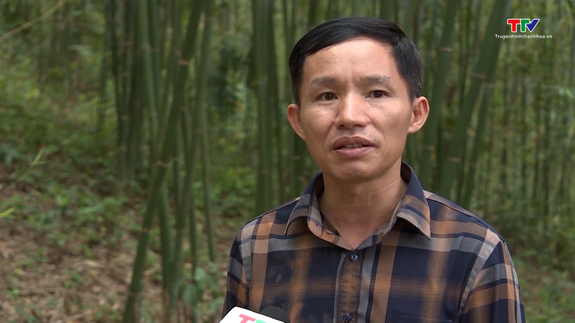 Tăng cường công tác tuyên truyền pháp luật bảo vệ rừng ở miền núi Thanh Hóa - Ảnh 4.