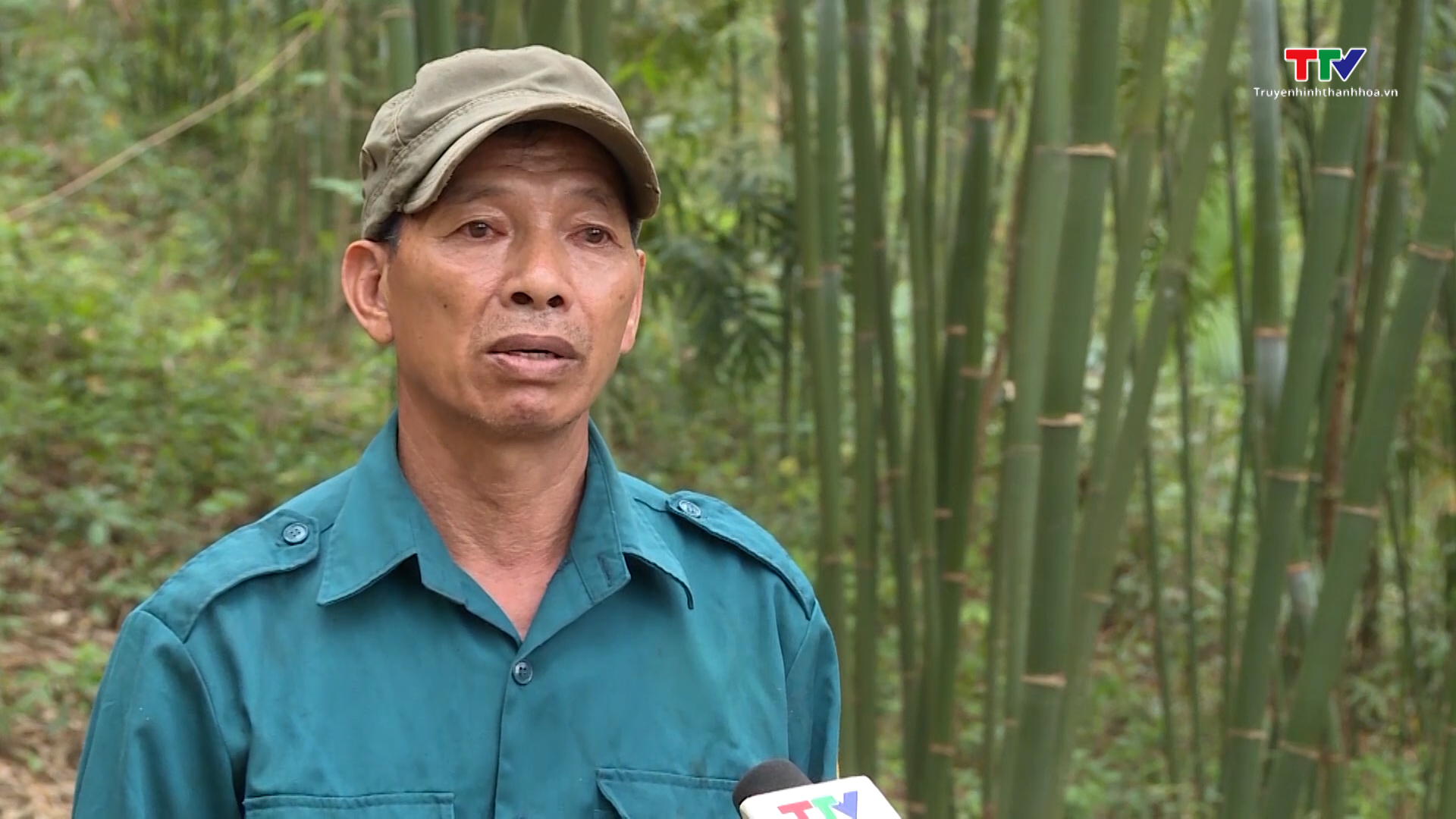 Tăng cường công tác tuyên truyền pháp luật bảo vệ rừng ở miền núi Thanh Hóa - Ảnh 3.
