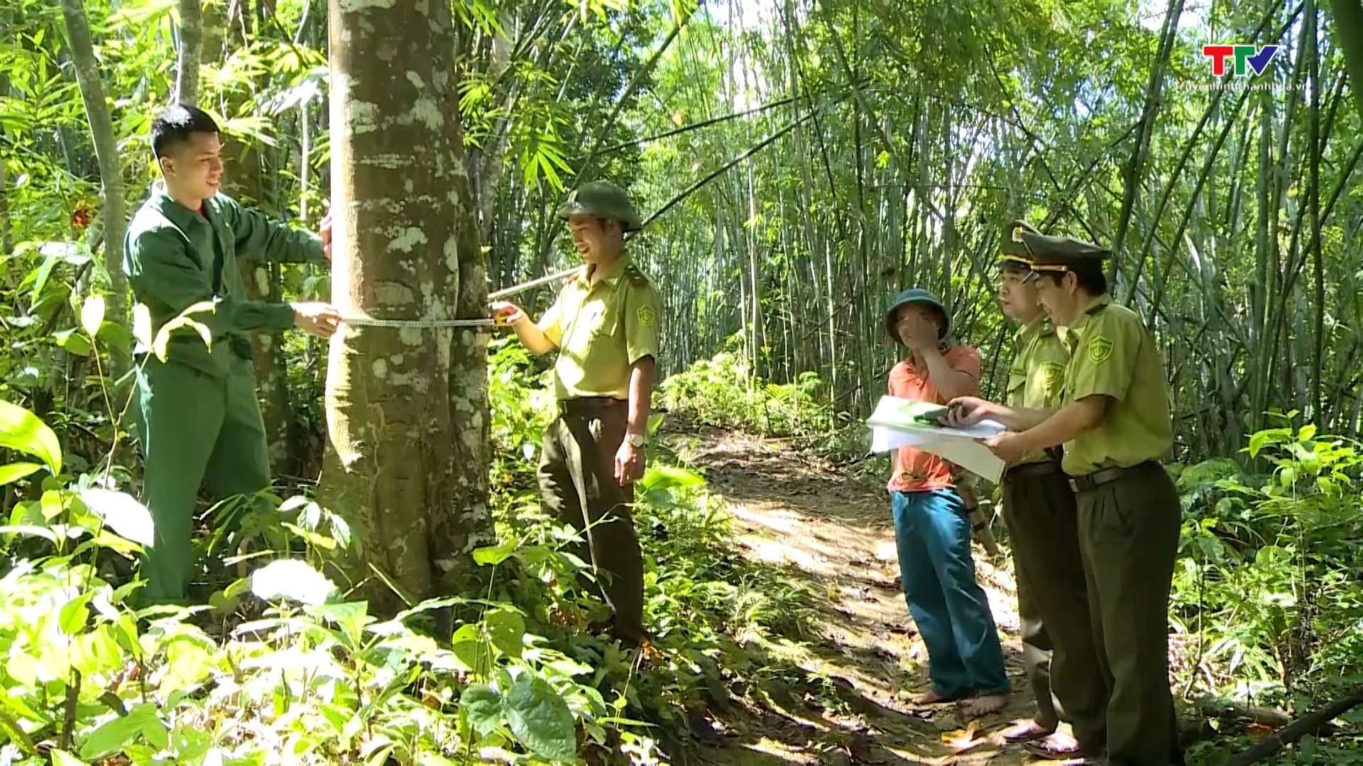 Tăng cường công tác tuyên truyền pháp luật bảo vệ rừng ở miền núi Thanh Hóa - Ảnh 5.