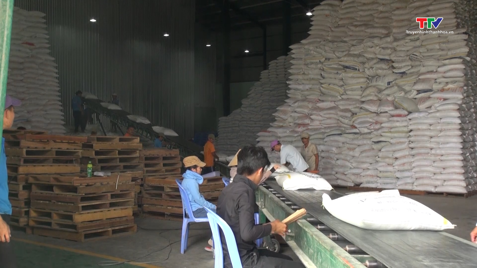 Giá gạo xuất khẩu của Việt Nam cao kỷ lục - Ảnh 2.
