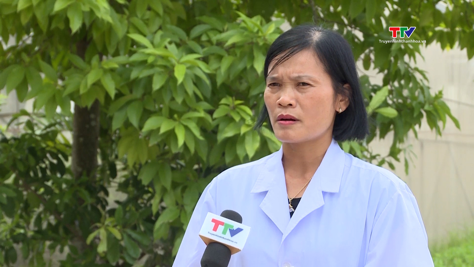 Ứng dụng công nghệ trong nuôi cấy giống cây lâm nghiệp - Ảnh 3. Ứng dụng công nghệ trong nuôi cấy giống cây lâm nghiệp - Ảnh 3.