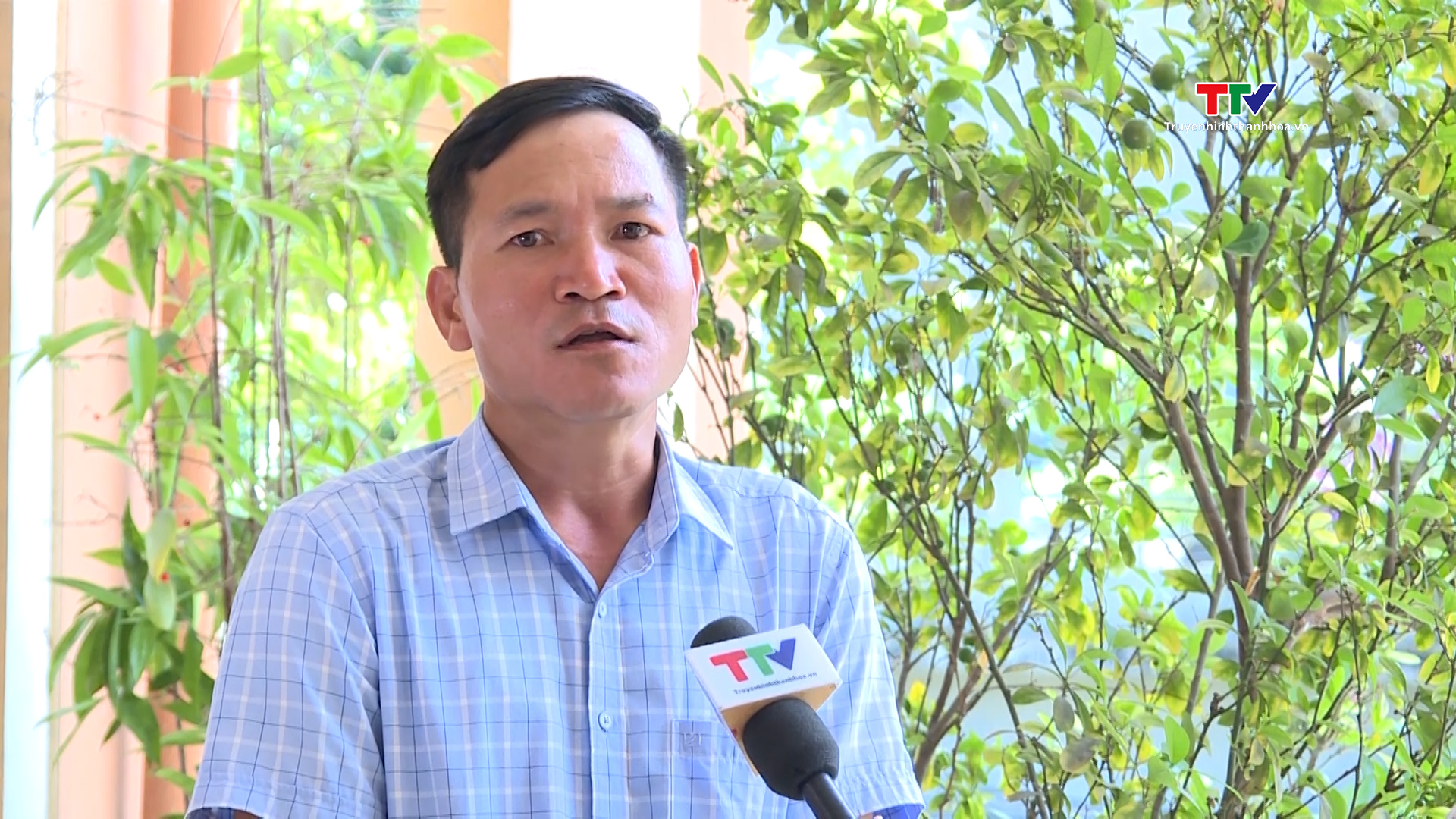 Ứng dụng công nghệ trong nuôi cấy giống cây lâm nghiệp - Ảnh 5. Ứng dụng công nghệ trong nuôi cấy giống cây lâm nghiệp - Ảnh 5.