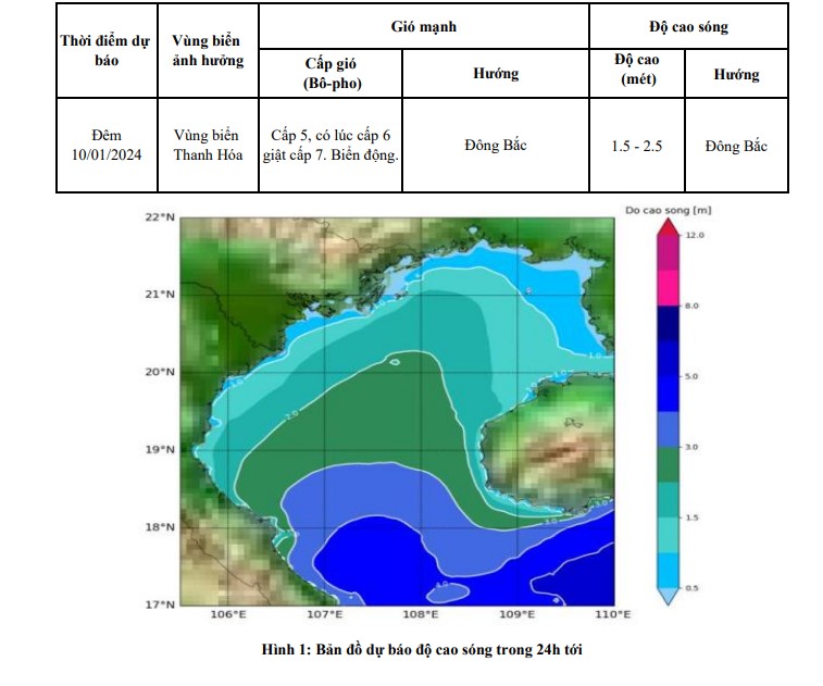 Cảnh báo, dự báo sóng lớn trên vùng biển Thanh Hóa (ngày 10/1)- Ảnh 1.