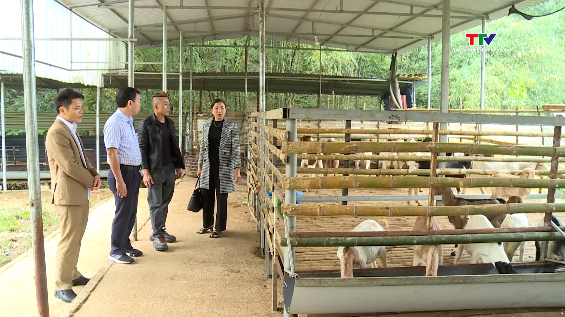 Nông dân huyện Lang Chánh chuẩn bị nông sản phục vụ Tết- Ảnh 2.