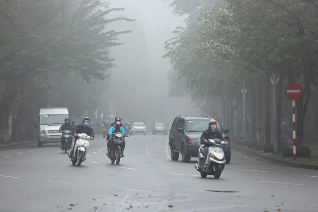Dự báo thời tiết 31/1/2024: Thanh Hoá trời rét, có mưa phùn và sương mù- Ảnh 1.