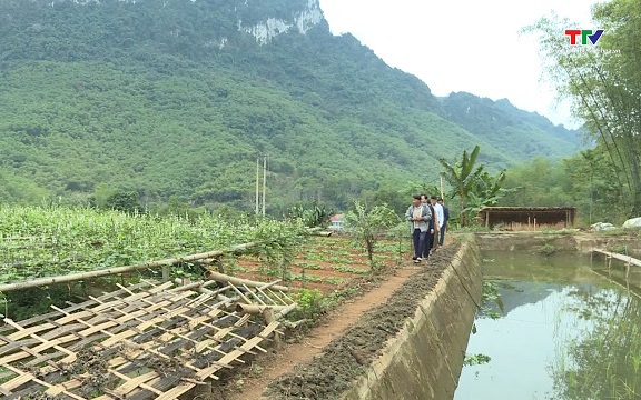 17.400 hộ dân được vay vốn chương trình sản xuất, kinh doanh tại vùng khó khăn