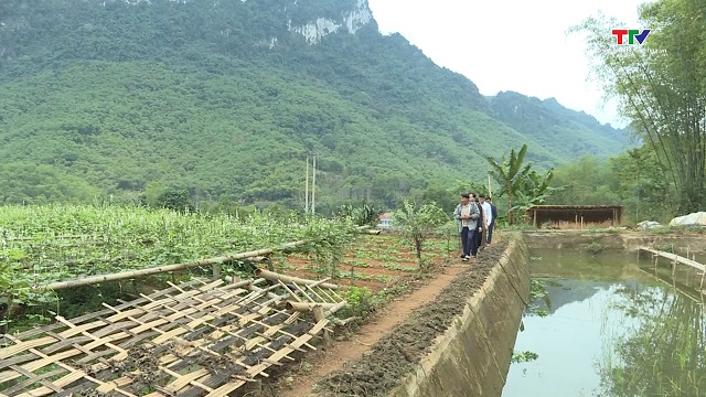 17.400 hộ dân được vay vốn chương trình sản xuất, kinh doanh tại vùng khó khăn- Ảnh 1.