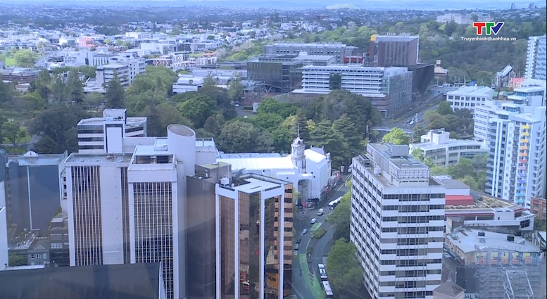 Tăng cường kết nối, hợp tác đầu tư giữa tỉnh Thanh Hóa và thành phố Auckland, NewZealand- Ảnh 1.