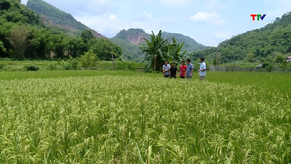 Thanh Hóa - Hủa Phăn (Lào) đẩy mạnh hợp tác trong công tác mặt trận- Ảnh 2.