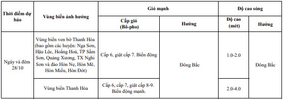 Cảnh báo sóng lớn  trên vùng biển Thanh Hóa- Ảnh 1.