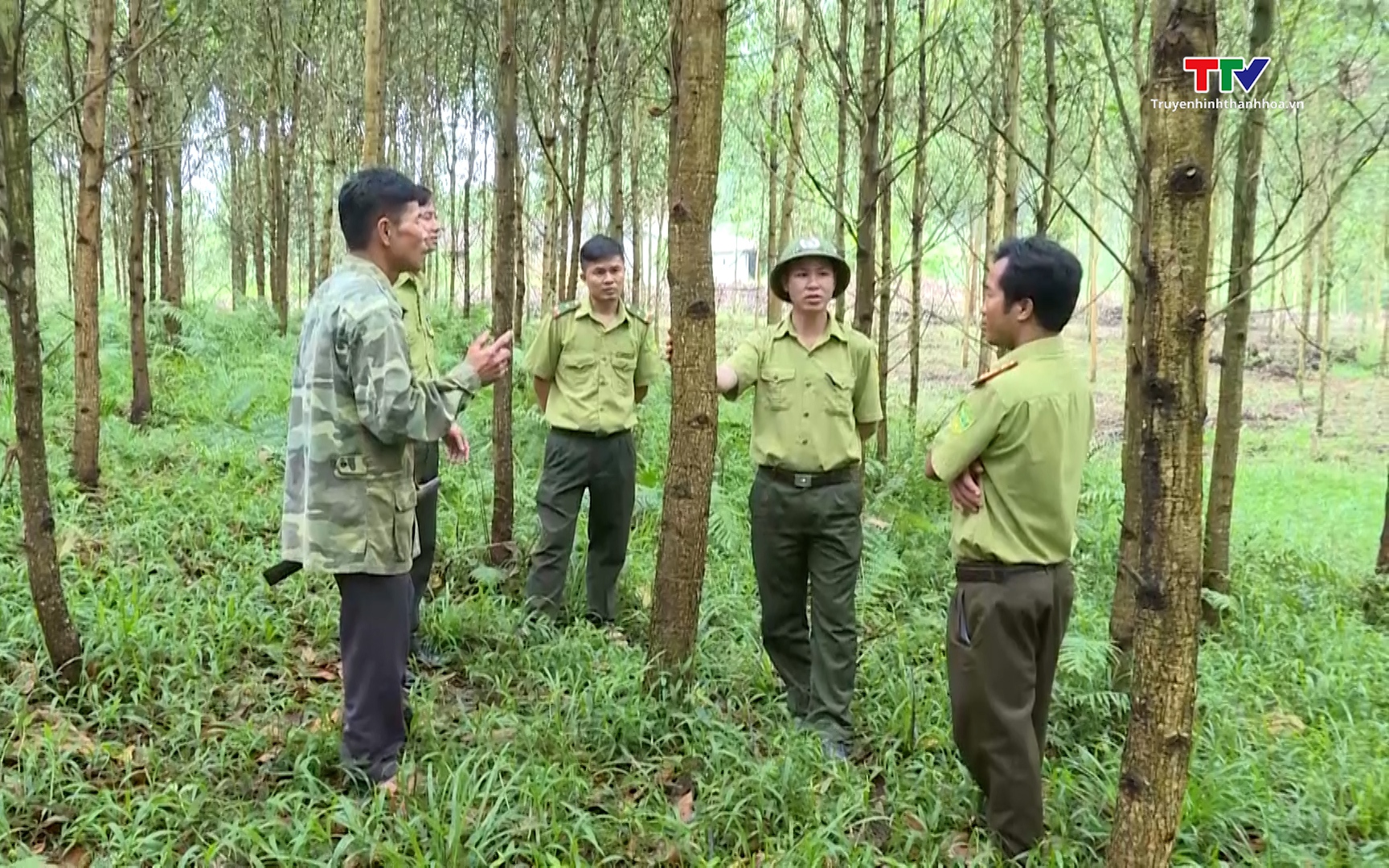 Triển khai các giải pháp hạn chế tình trạng khai thác, xâm lấn rừng