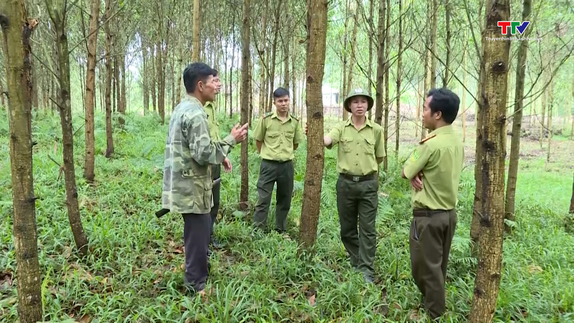 Triển khai các giải pháp hạn chế tình trạng khai thác, xâm lấn rừng- Ảnh 4.