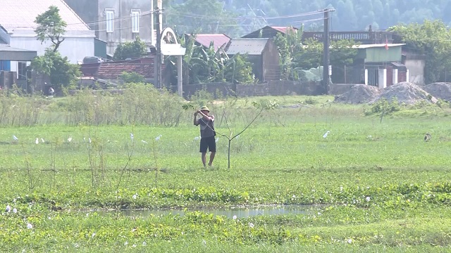 Công khai săn bắt và buôn bán chim hoang dã- Ảnh 3.