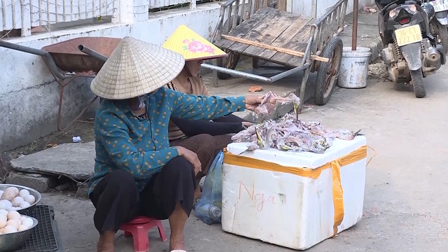 Công khai săn bắt và buôn bán chim hoang dã- Ảnh 2.