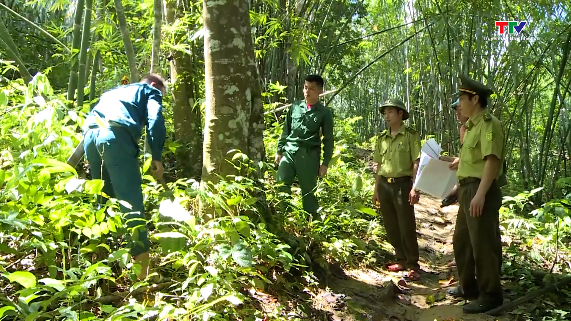 Phòng cháy, chữa cháy rừng các vùng trọng điểm- Ảnh 2.