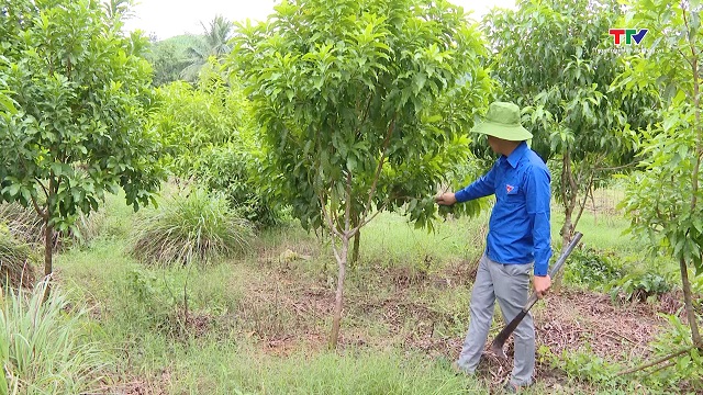 Truyền cảm hứng khởi nghiệp cho thanh niên miền núi xứ Thanh- Ảnh 1.