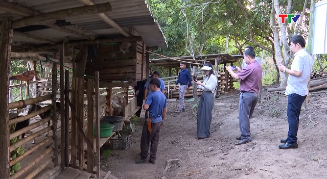 Trung tâm Khuyến nông Quốc gia kiểm tra dự án chăn nuôi dê lai tại xã Mường Chanh, huyện Mường Lát- Ảnh 1.