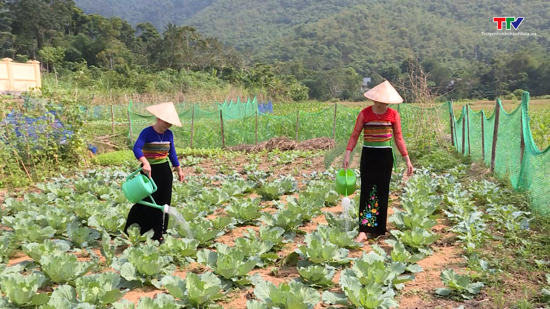 Chính sách của Đảng và Nhà nước làm thay đổi đời sống đồng bào dân tộc thiểu số- Ảnh 1.