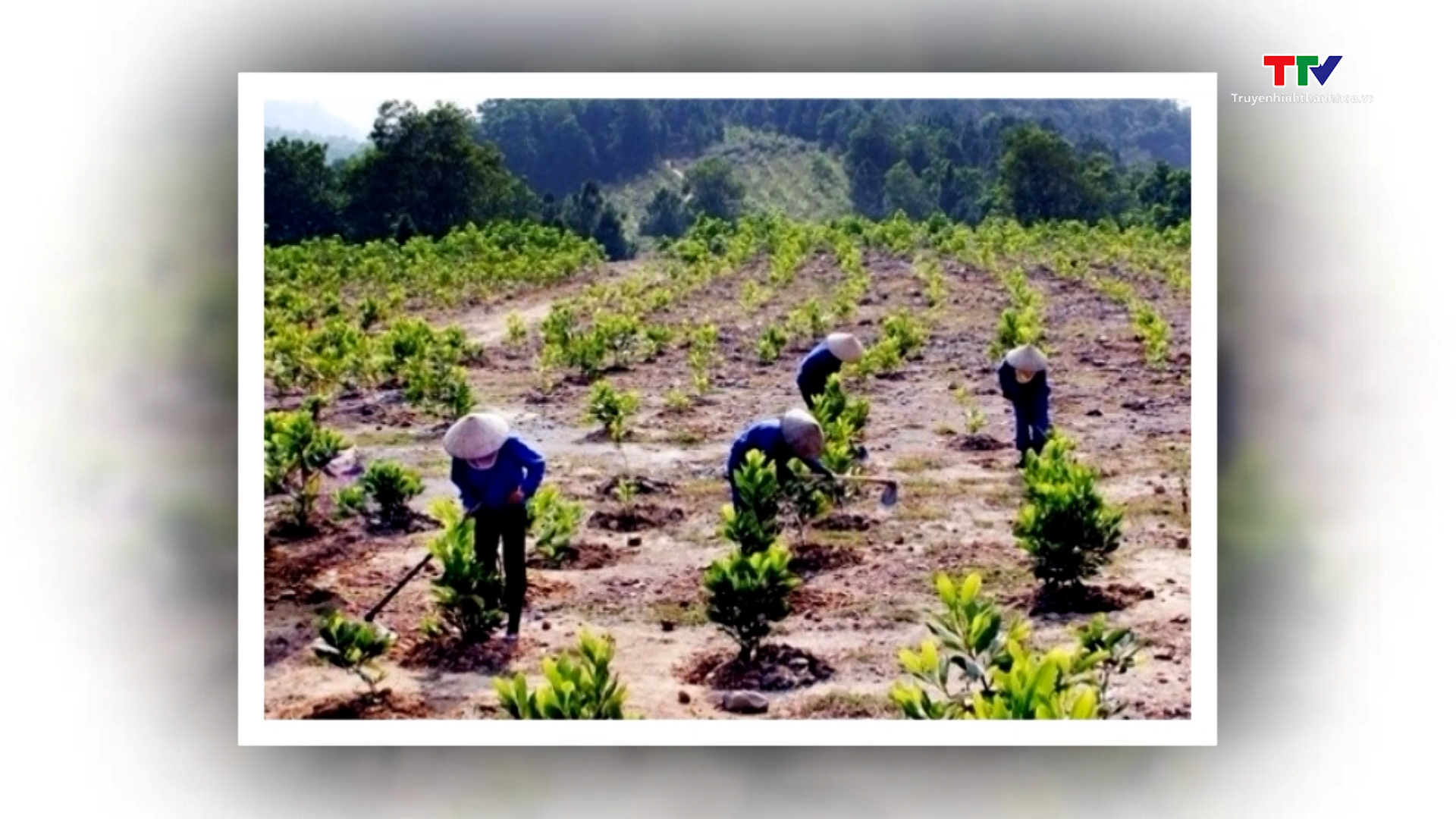 Kế hoạch quốc gia thích ứng với biến đổi khí hậu giai đoạn 2021 - 2030, tầm nhìn đến năm 2050 - Ảnh 1.