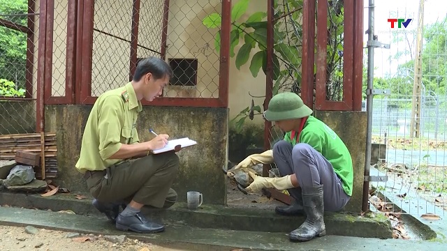 Ngăn chặn, xử lý buôn bán, vận chuyển, kinh doanh động vật hoang dã- Ảnh 1.