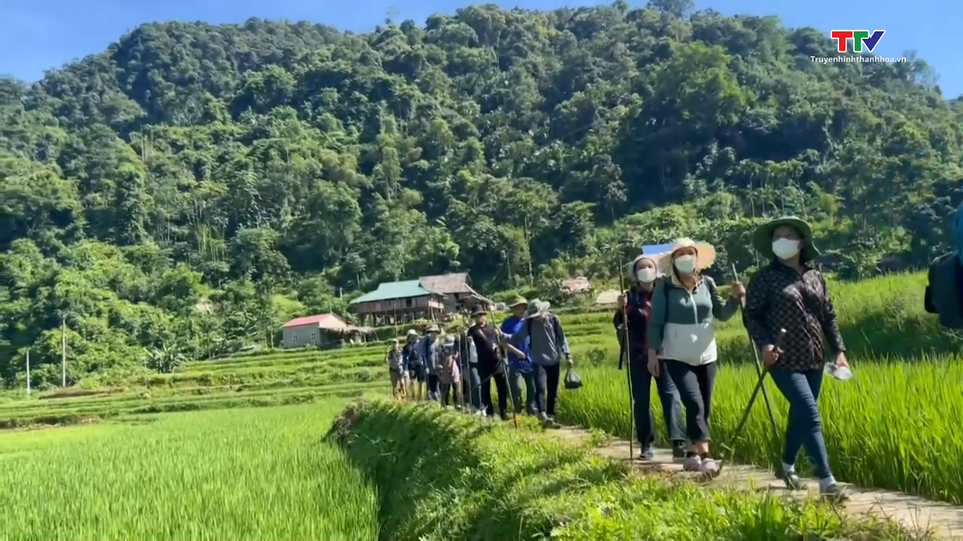 Pù luông - Điểm đến bốn mùa- Ảnh 6.