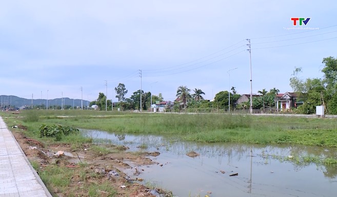 Sớm nghiên cứu có quy định mức thuế cao hơn đối với người nhiều nhà, đất, bỏ đất hoang- Ảnh 1.